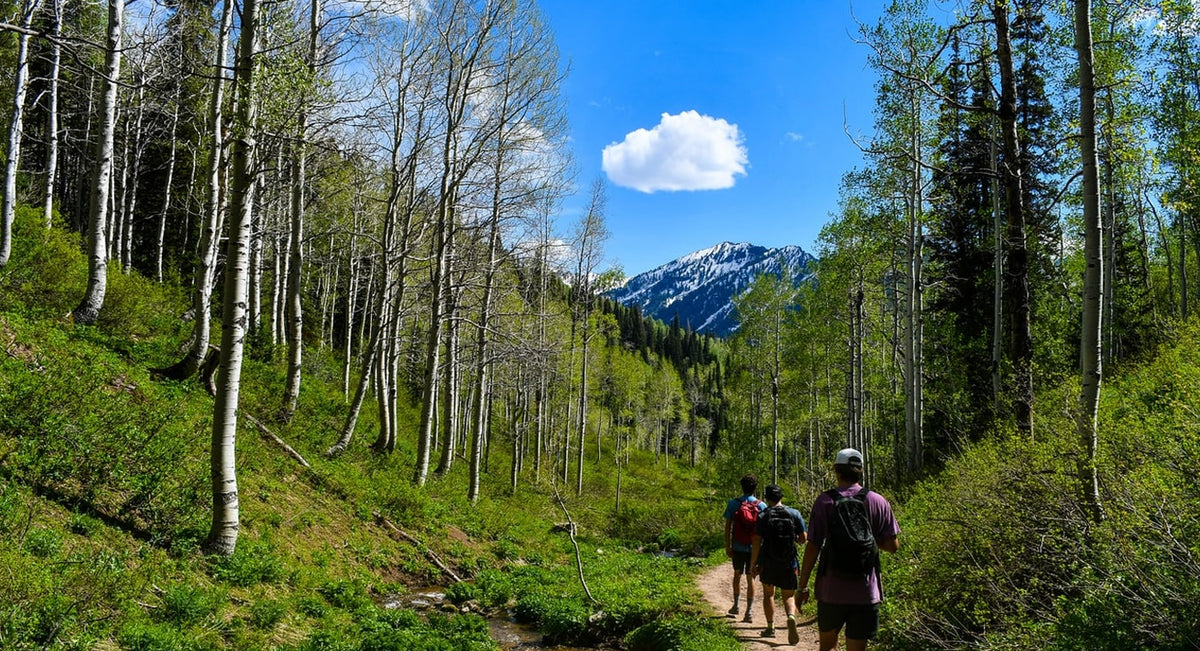 5 Easy Hikes For Beginners In The USA KingCamp Outdoors